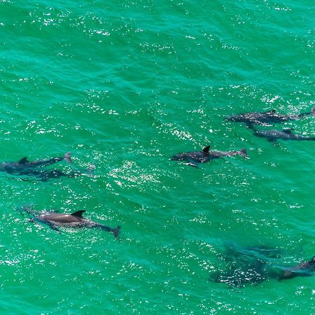 Searenity At Inlet 2 Βίλα Panama City Beach Εξωτερικό φωτογραφία